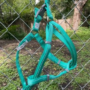 Step In Reflective Turquoise Green Web Dog Harness Size Medium`